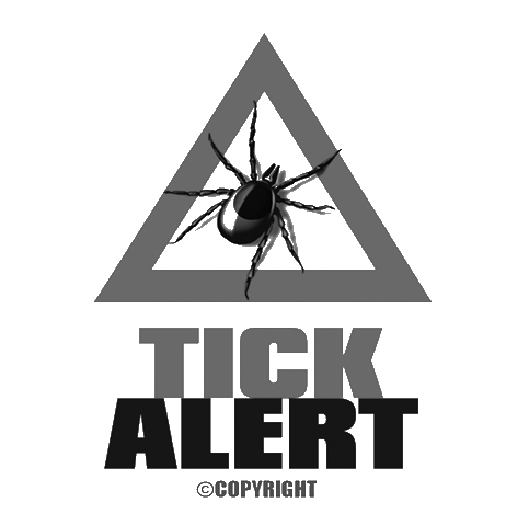 tick